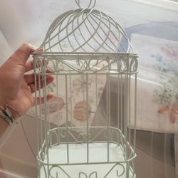 Bird Cage