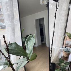 60-inch Standing or Hanging Mirror