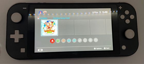 Nintendo switch lite-grey