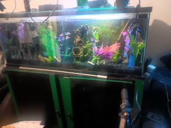 55 gallon glass aquarium with stand