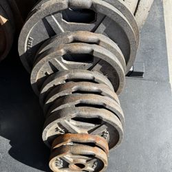 MAX Olympic Weights