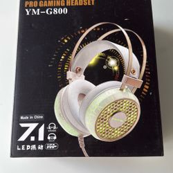 Pro Gaming headset