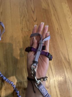 Small Cat/puppy Harness And Leash 