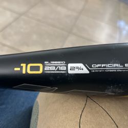 Baseball Bat - Easton Beast Speed Bat 