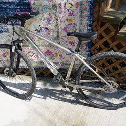 Trek Dual Sport 2