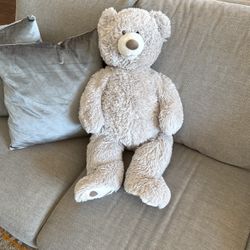 Grey Teddy Bear