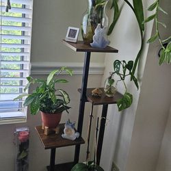Plant Stand 