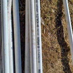 Left Over Small And About 3 Ft And 4 Footers