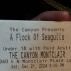 Tickets To Concert Flock Of Seagulls 