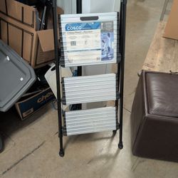 Step Ladder At A Steal $10