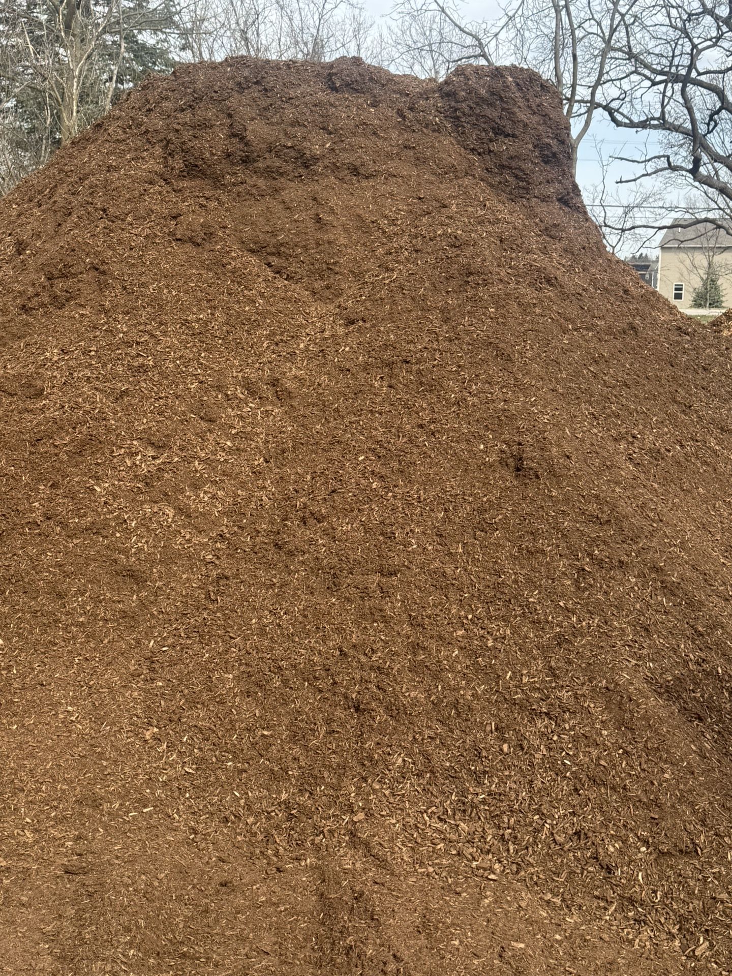 Double Brown Ground Mulch