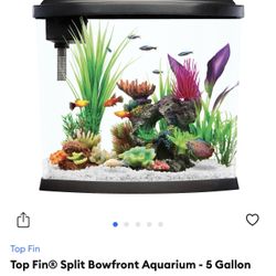 5 Gallon Fish Tank