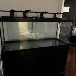70 Gallon Glass Aquarium & Stand