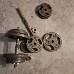 Weight Bench and Weight Plates