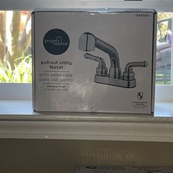 Pull out utility faucet