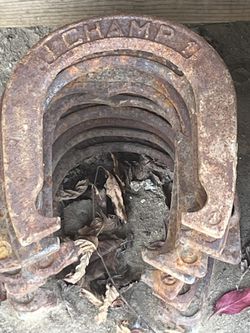 Champ Horse Shoe