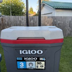 Igloo Cooler 30 Quarts 