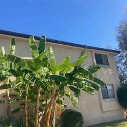 2 Bedroom 1 Bath upper unit in Monrovia