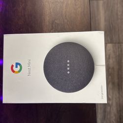 Google Nest Mini
