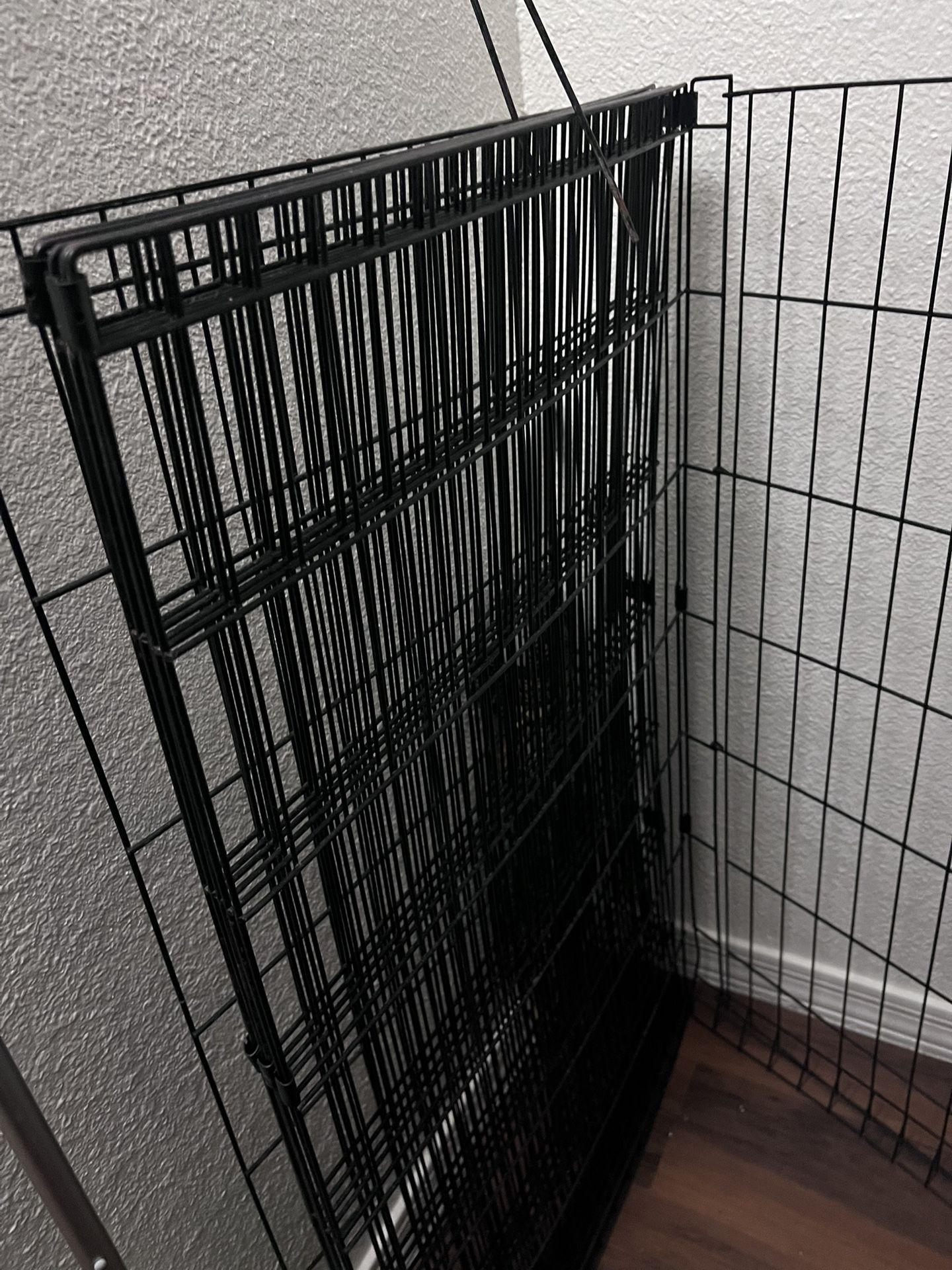 Dog Gate