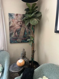 Plant