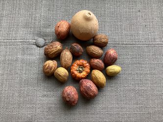 Fall Vase Filler or Sensory Ben Items