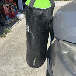 Everlast Punching Bag With Hardware