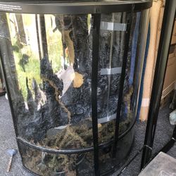 Chameleon Cage 