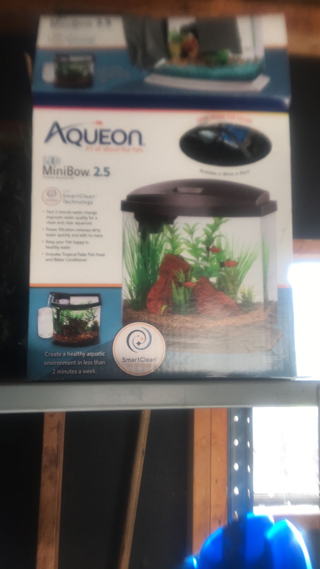 mini-bow aquarium 2.5