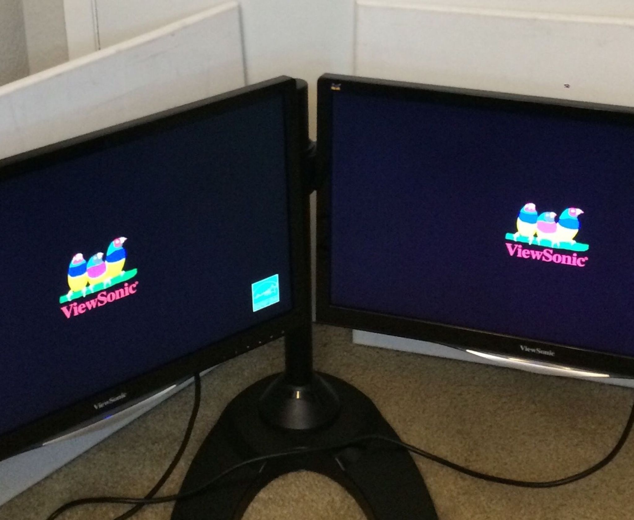 22 inch LCD Monitors On A Dual Stand