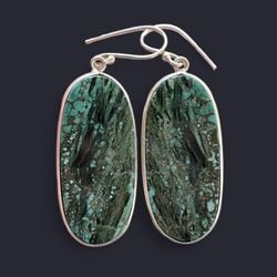 Natural Turquoise Gemstone Silver Earrings-AE97264