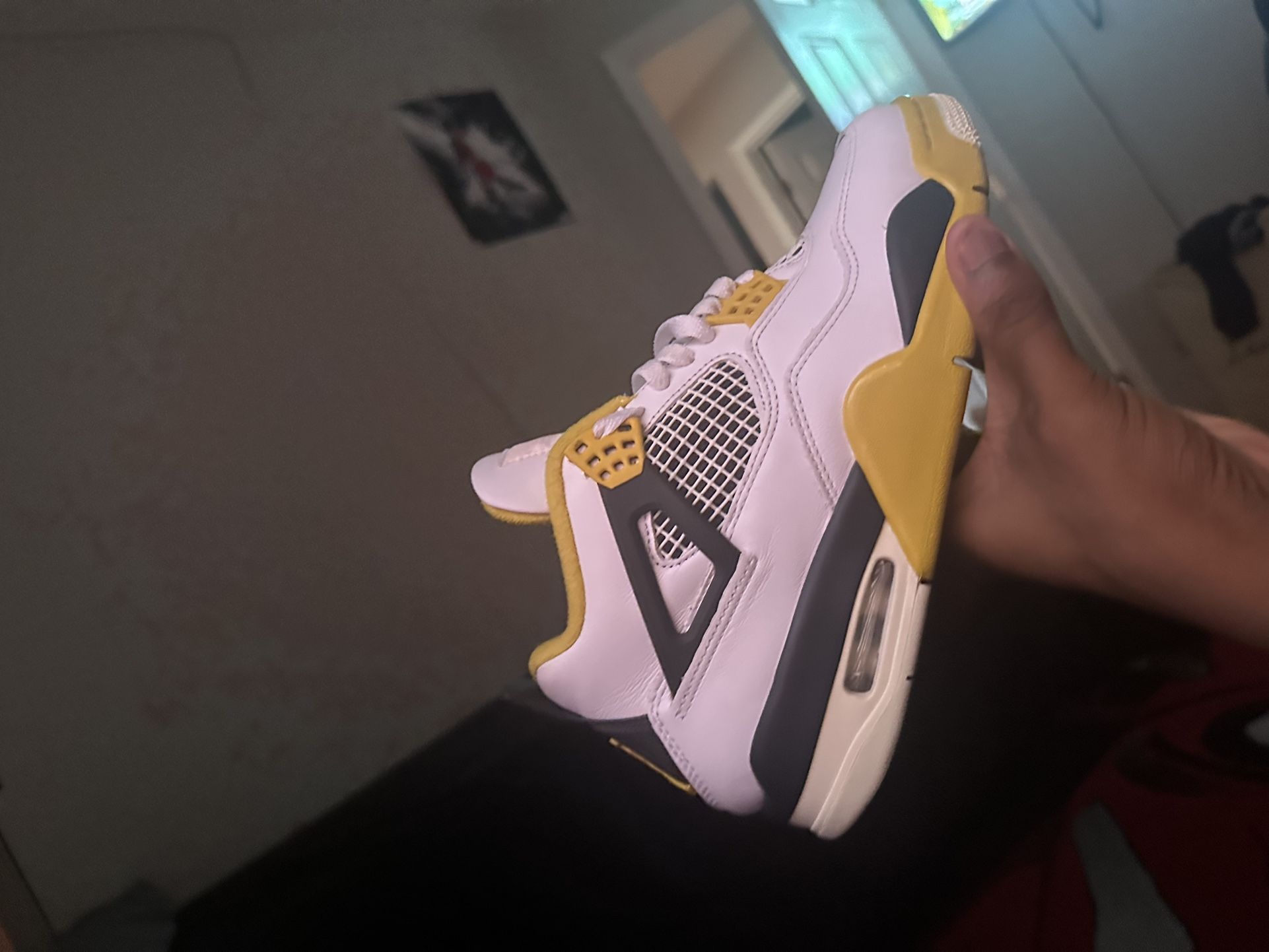 Brand New Jordan 4