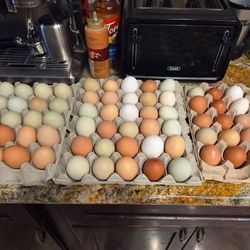 Fresh E.G.G.S / carton / huevos frescos