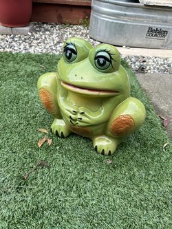 Maceta Frog