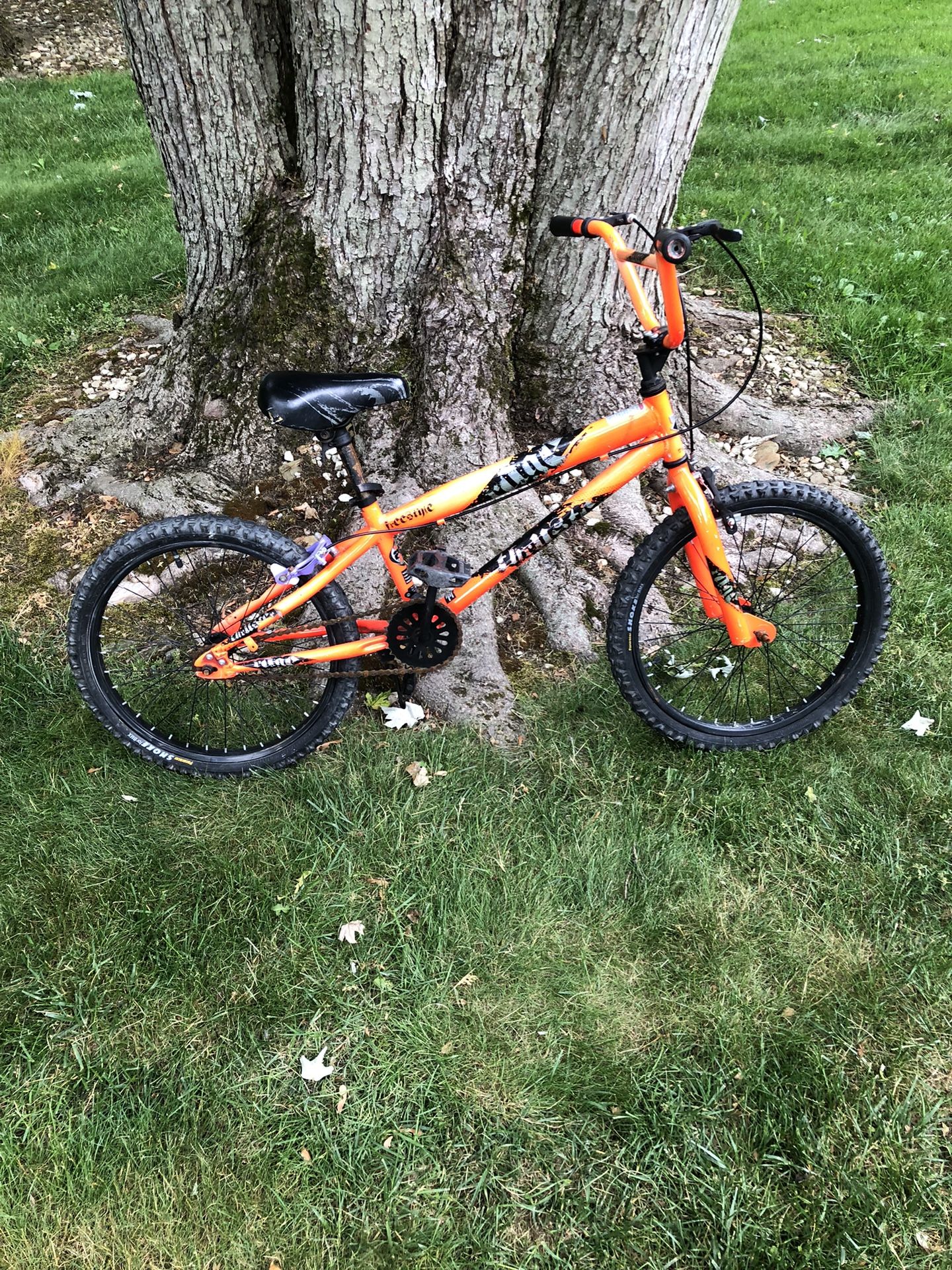 20” Bmx Style Bike