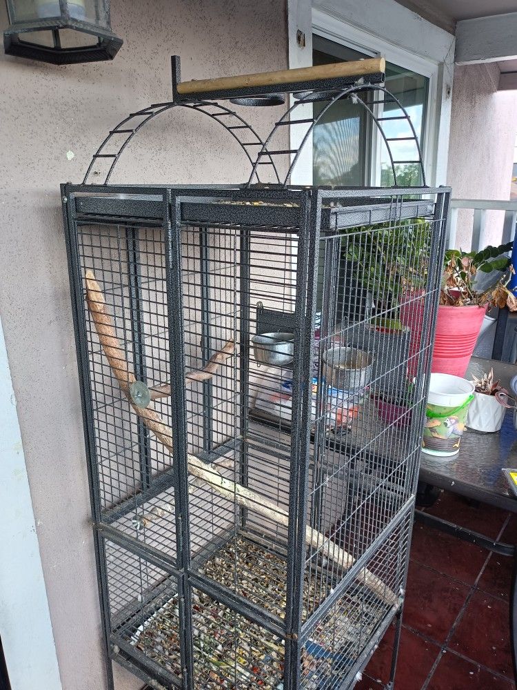 Birds Cage