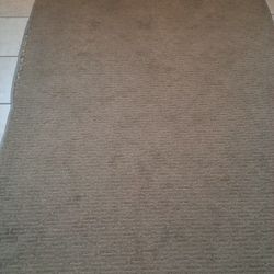 Free Area Rug 4x6