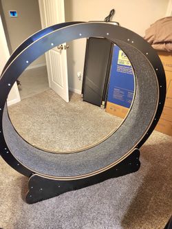 Cat Exercise Treadmill