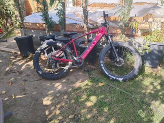 Electric bike