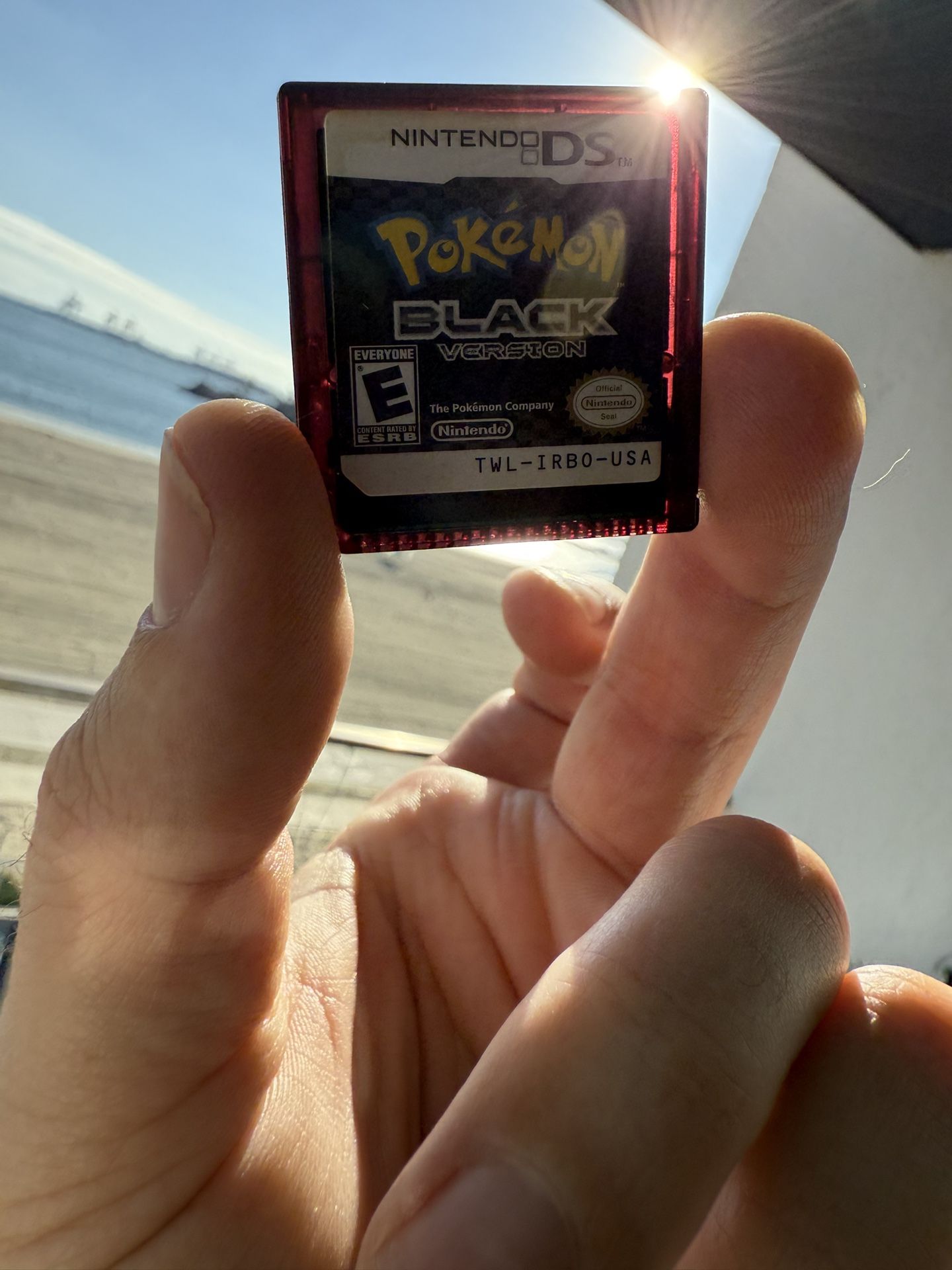 Pokemon Black For Nintendo DS Authentic