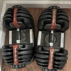 Used Bow flex Weights 