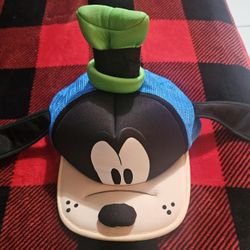 Goofy Hat