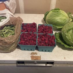 Fresh Organic Vegetables and berries
