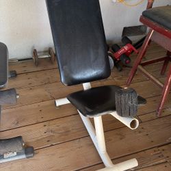 Workout Benches 
