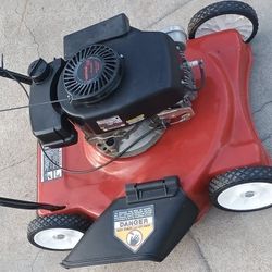 20" Push Mower 