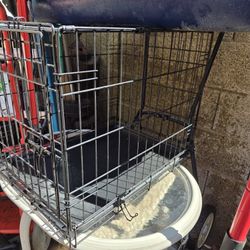 Dog Crate