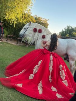 red quinceañera dress
