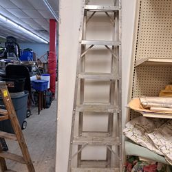8 Foot Ladder 