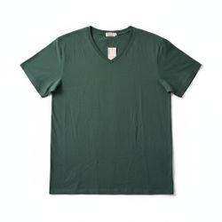 J.Crew Broken-In V-Neck T-Shirt Sage Green NWT 100% Cotton Men's XL