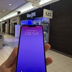 iPhone 13 Pro Max (unlocked)